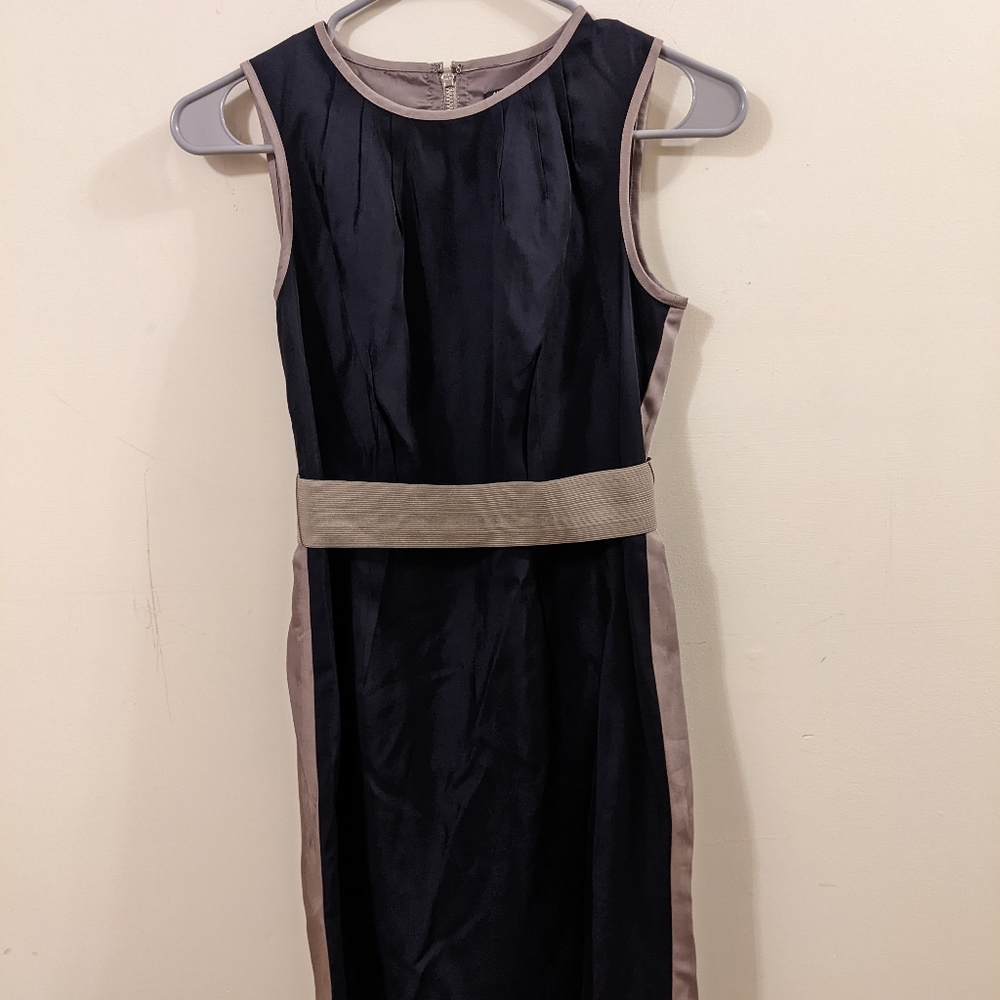 Ann Taylor Dress